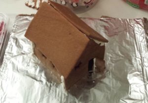 20161224_205523-2