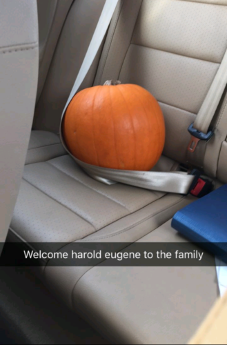 Halloween Safety - What's In Your Backseat?