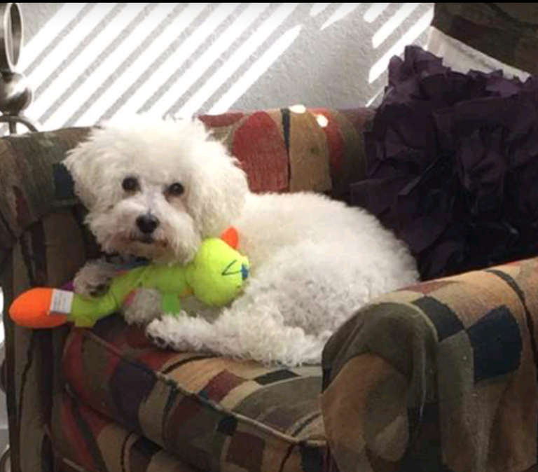 W438820531N344—Can You Unscramble The Code?